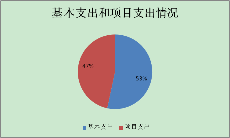 基本支出和项目支出情况