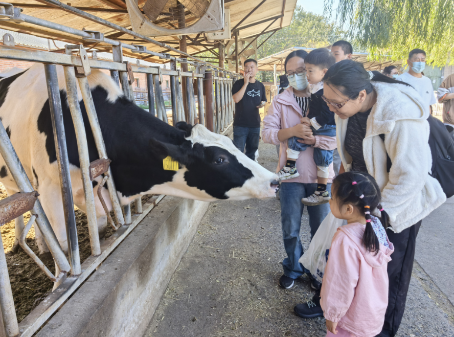 图为在训儿童和家长在观察奶牛生长特点