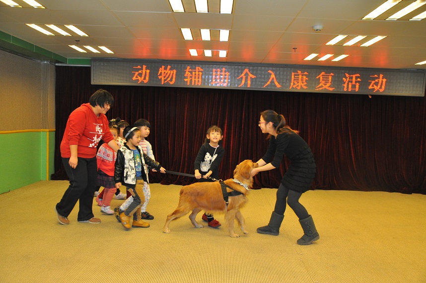 图为北京市残疾人康复服务指导中心举办“动物介入康复•重塑快乐心灵”主题活动