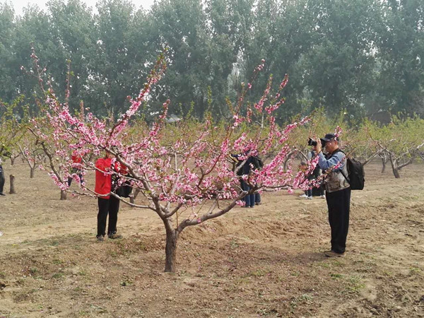 图为残疾人摄影爱好者