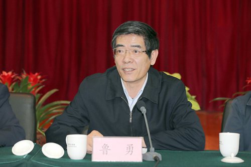 图为中国残联党组书记、理事长鲁勇在会上讲话