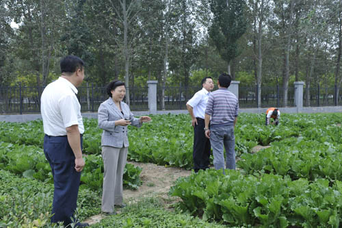 图为 视察待建扶贫基地