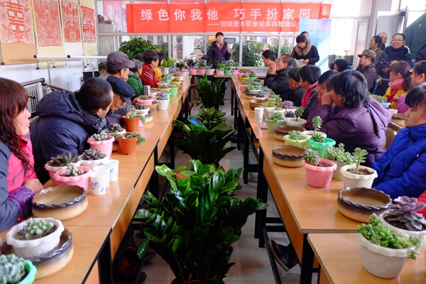 多肉植物培训