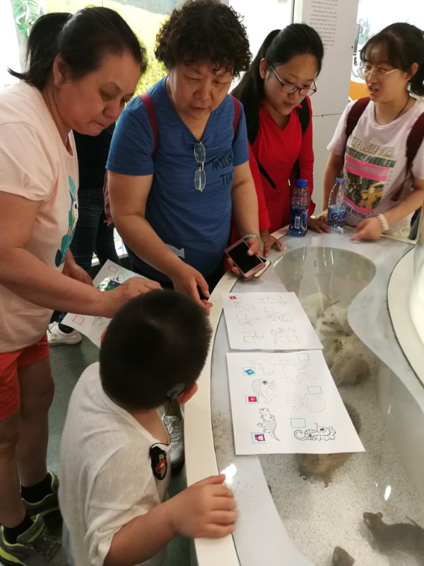 孩子结合老师给的动物图，在博物馆里长出对应的动物