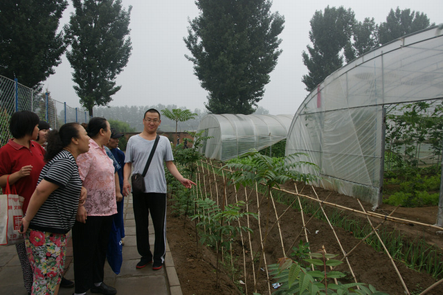 图为残疾人在参观蔬菜大棚