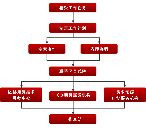 社会指导科的工作流程