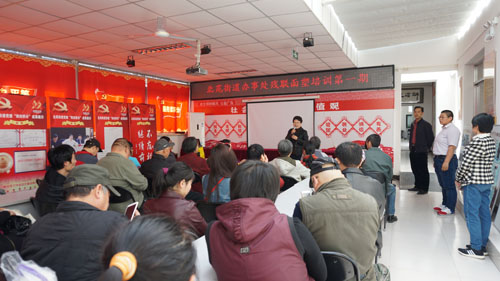 通州区北苑街道残联举办面塑培训课
