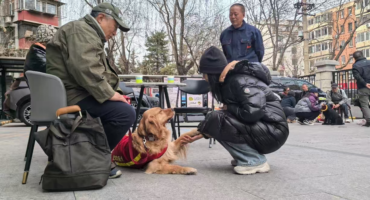 市无障碍中心举办导盲犬开放日主题宣传活动